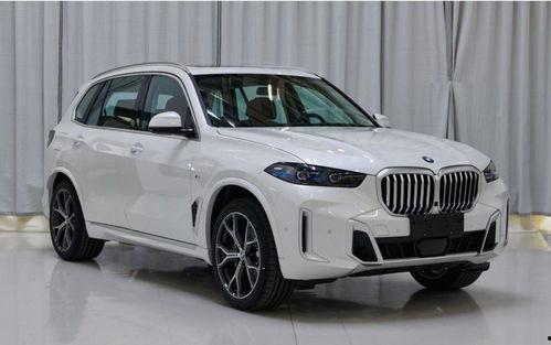 国产x5怎么放动画视频,国产X5车载娱乐系统动画视频播放指南