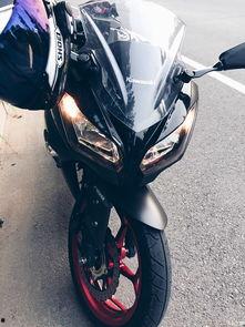 红黑色国产小忍者视频,国产小忍者传奇之旅