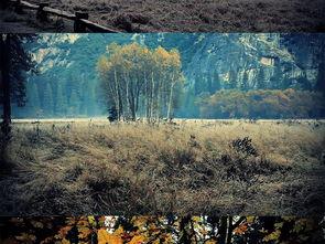 国产电影唯美风景视频,国产电影中的绝美风景掠影