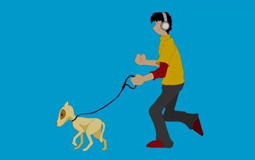 国产短片动画遛狗视频,国产短片动画中的温馨时光